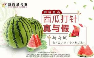 沛县吃瓜直播,揭秘当地特色美食与网络直播的奇妙融合