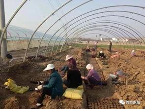 安徽界首卖房吃瓜,一场吃瓜群众的购房盛宴