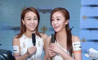 出轨吃瓜事件上海,娱乐圈的道德拷问与舆论漩涡