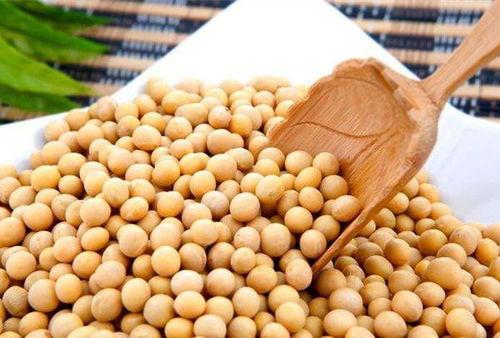 小黄豆半夜吃瓜,小黄豆深夜瓜界探险记