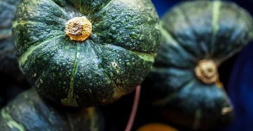 最近值得吃的瓜,盘点近期热门美食新宠