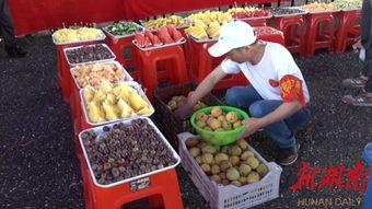 怀来县吃瓜,探寻瓜乡美食之旅