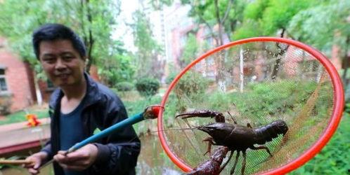 吃瓜摔池塘视频,吃瓜群众不慎摔入池塘，视频记录惊险瞬间