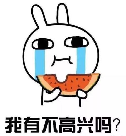 吃瓜棋,揭秘这款独特棋类游戏的魅力与玩法