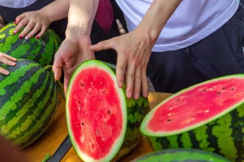 哈瓜和椰子能一起吃吗,揭秘能否共食的饮食奥秘