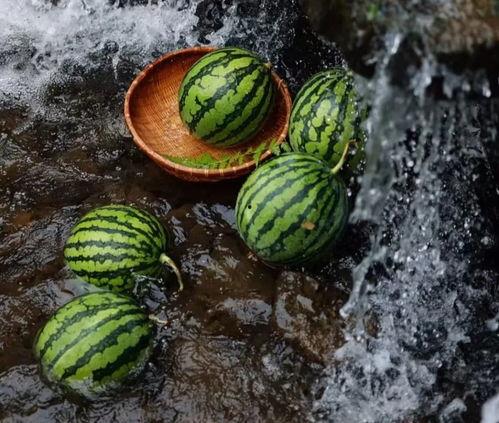 夏季如何安全吃瓜,安全享用西瓜的秘诀