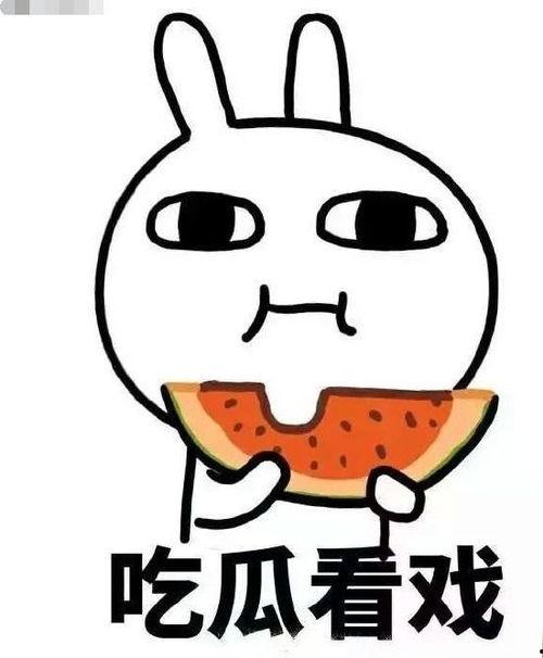 吃瓜波兰球,揭秘球圈幕后故事