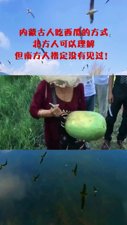 蒙语吃瓜,探寻草原上的“吃瓜”文化