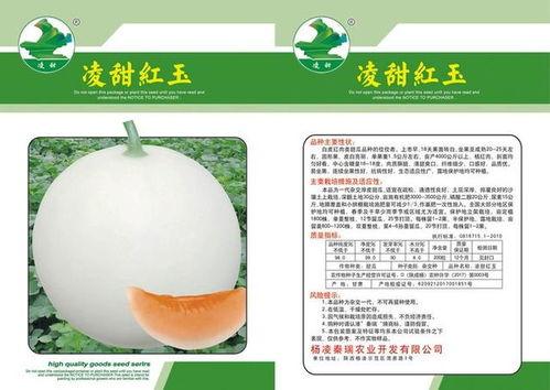 红玉白皮瓜怎么吃,红玉白皮瓜的多彩食法探索