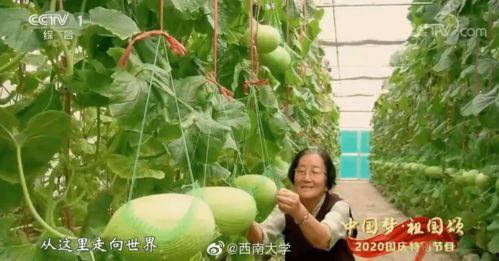 莫离吃瓜,揭秘娱乐圈背后的那些事儿