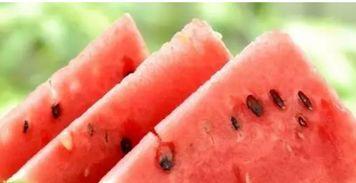 北信科吃瓜,揭秘“吃瓜”背后的真相与笑料